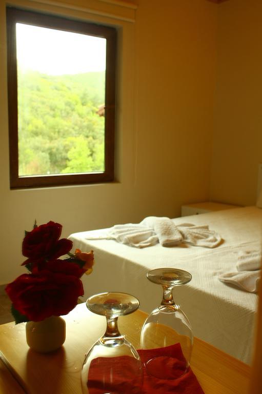Uyku Vadisi Hotel Agaclihuyuk Habitación foto